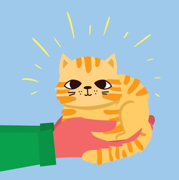 Vector illustration of cat siting on the hands