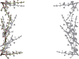 light tree blossoming branch on white background