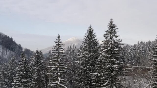Winter snow covering a mountainous forest region in Czechia.