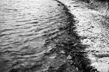 shoreline in black and white of lake Joe Wheeler in Alabama with rocks, waves, snow bank
