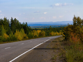 Road in forest