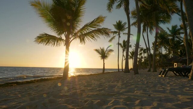 4k, background, beach, beautiful, blue, evening, holiday, horizon, landscape, nature, ocean, outdoor, palm, paradise, sand, sea, silhouette, sky, slow motion, summer, sun, sunrise, sunset, travel, tre