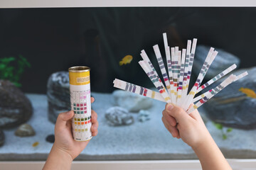 Science. A boy is holding test ph strips to test the water in the aquarium  © Elena