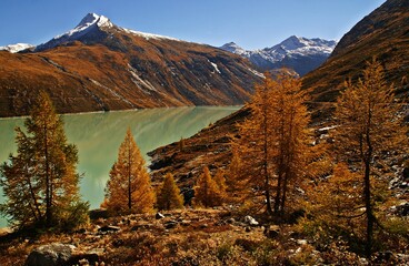 Switzerland, Valais, Alps mountains, Alps Valais, Mattmarksee, dam, Saas Grund, Saas-Almagell, lake,autumm, tree - obrazy, fototapety, plakaty