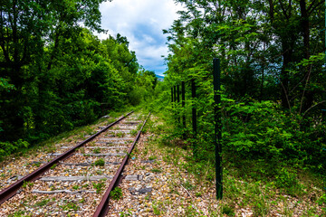 Obraz premium Railroad cutting through the forest in the French Alps