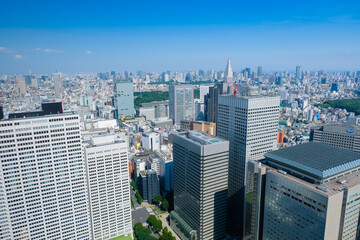 Fototapeta na wymiar 東京都庁 展望台からの景色