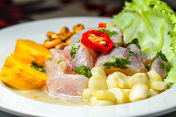 Delicious peruvian food ceviche