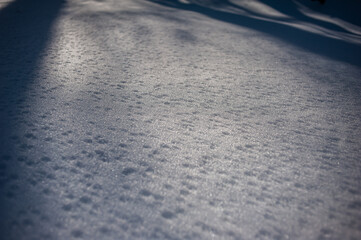 Smooth snow surface in the winter forest on a sunny day