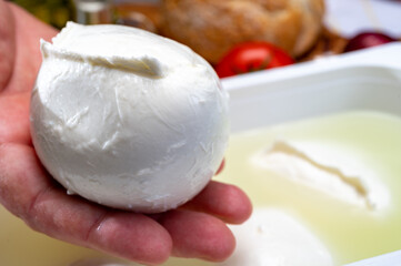 Cheese maker holding in hand fresh handmade soft Italian cheese from Campania, white balls of buffalo mozzarella cheese made from cow milk in container with water