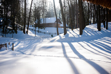 Smooth snow surface in the winter forest on a sunny day