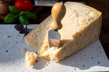 Cheese collection, hard yellow Italian cheese parmesan or parmigiano reggiano