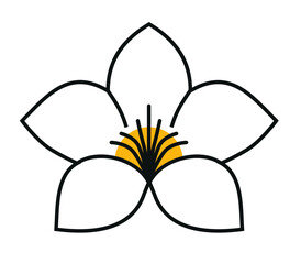 Flower of the alamanda plant logo on a white background
