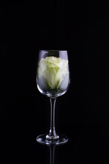 green rose in a glass of wine. Black background.