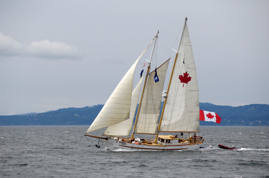 The schooner Maple Leaf was built in 1904 at Vancouver Shipyard, British Columbia.