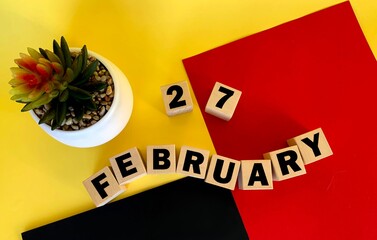 February 27 on wooden cubes .Next to it is a pot with a cactus on a multicolored background.Calendar for February .