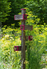 Insect hotel in a summer garden during day.