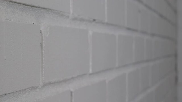 Indoor White Brick Wall Copy, Dolly, Close Up