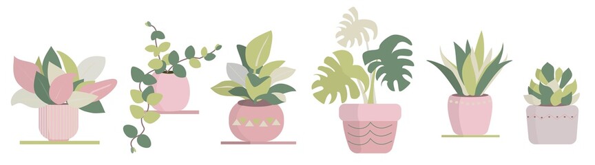 Indoor plants isolation illustration set Potted house plants