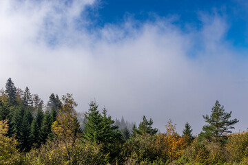 clouds over the mountains