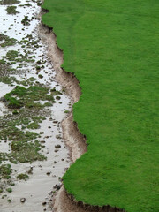 Severn Estuary riverbank erosion, Gloucestershire, United Kingdom