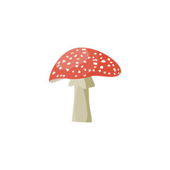 Toxic forest fly-agaric or amanita mushroom, flat vector illustration isolated.
