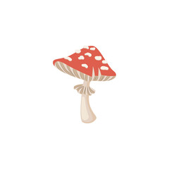 Fly-agaric mushroom characteristic signs, flat vector illustration isolated.