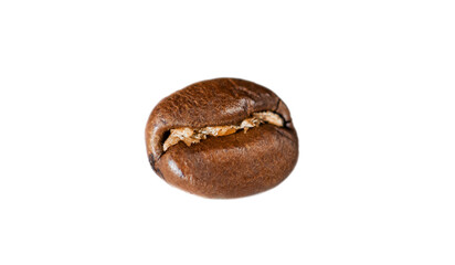 One coffee bean isolated on white background.