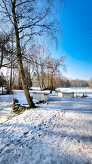 PARK MIEJSKI W ZIMIE