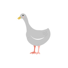 gray goose isolated image on white background. Stylized cartoon illustration for children's prints, advertising of goose feather and fluff products, pates. Vector illustration.