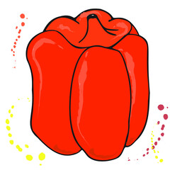 Orange bell pepper, tasty sweet vegetable on a white plate, ingredient of salads and other dishes. Illustration of logos of vegetable stores, healthy eating, raw food. Vector isolated.