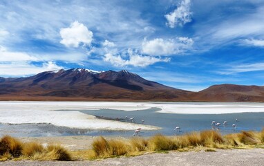 Flamingos lake in Andes mountains, incredible landscape, amazing wilderness nature, wildlife In nature reserve Bolivia, South America.