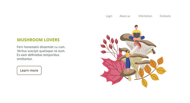 Website with people learning and picking forest mushrooms, vector illustration.