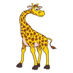 Giraffe. Cartoon character young Giraffe isolated on white background. Template of cute african animal. Education card for kids learning animals. Suitable for decorate. Vector design in cartoon style.
