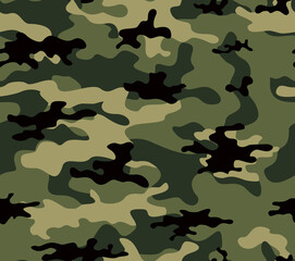 Fototapeta premium Camouflage military pattern, vector illustration, green background