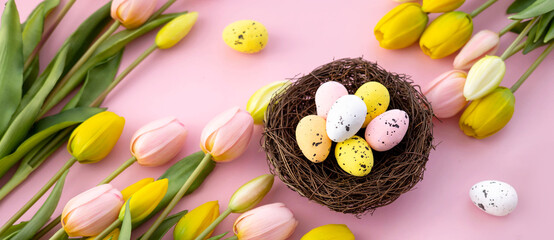 Colorful easter quail eggs in nest and tulips on pink background with . Flat lay. Spring composition. Happy easter greeting card. Banner