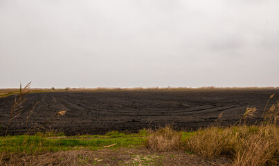 Burnt rice fields, prepared for a new harvest, on a cold and cloudy winter's day.