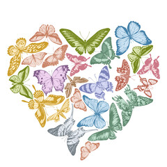 Obraz premium Heart design with pastel octauius swordtail, great orange-tip, emerald swallowtail, plain tiger, rajah brooke s birdwing, papilio torquatus, swallowtail butterfly
