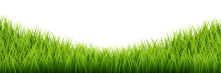 Fototapeta na wymiar Green grass border set on white background. Vector Illustration