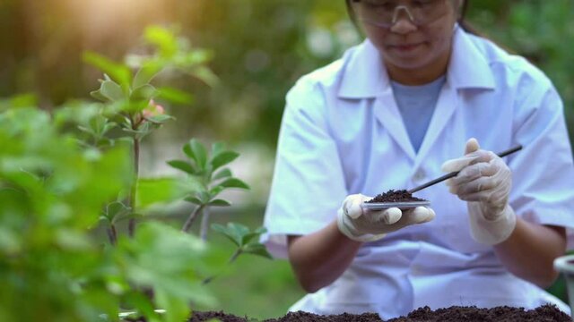 Scientist take a soil sample for researchers soil seeds plants biochemists.
