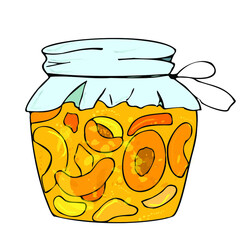 Jar with apricot jam, orange sweet peaches, grandmother’s preservation for the winter. Color vector illustration on a white isolated background.