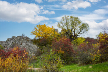 Fototapeta premium A granite canyon in the bed of the Mertvovod River in the village of Aktove, Ukraine. Colorful leaves of trees in the autumn landscape, colors of leaf-fall.