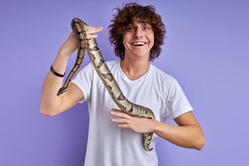 man interacting with snake, have fun, exotic pet in hands. isolated purple background