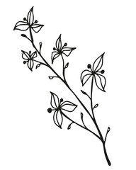 black and white, linear drawing of a branch with leaves, berries, buds, ornamental plant, stylized vector graphics