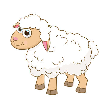 Young Sheep. Cartoon character Lamb isolated on white background. Template of cute farm animal. Education card for kids learning animals. Suitable for decoration and design. Vector in cartoon style.
