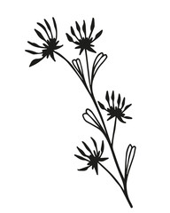 black and white, linear drawing of a branch with leaves, berries, buds, ornamental plant, stylized vector graphics