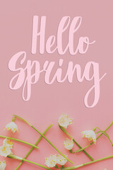 Hello spring text sign on white spring flowers border on pink background flat lay. Stylish tender floral greeting card, handwritten greetings