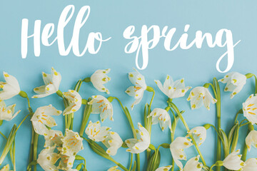 Hello spring text sign on white spring flowers border on blue background flat lay. Stylish tender floral greeting card, handwritten greetings