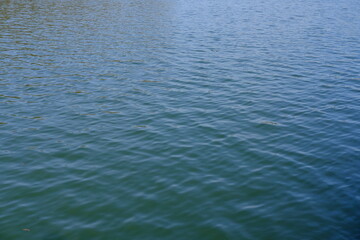 A close-up on the water at the Versailles park. March 2021, France.
