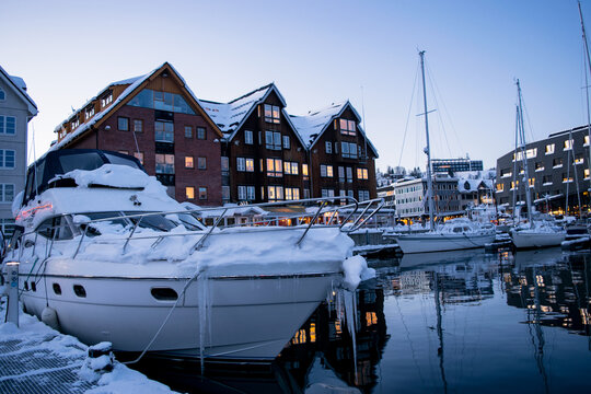 boats in the harbour