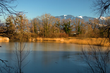 Lovely view over a lake in Oberriet in Switzerland 11.1.2021